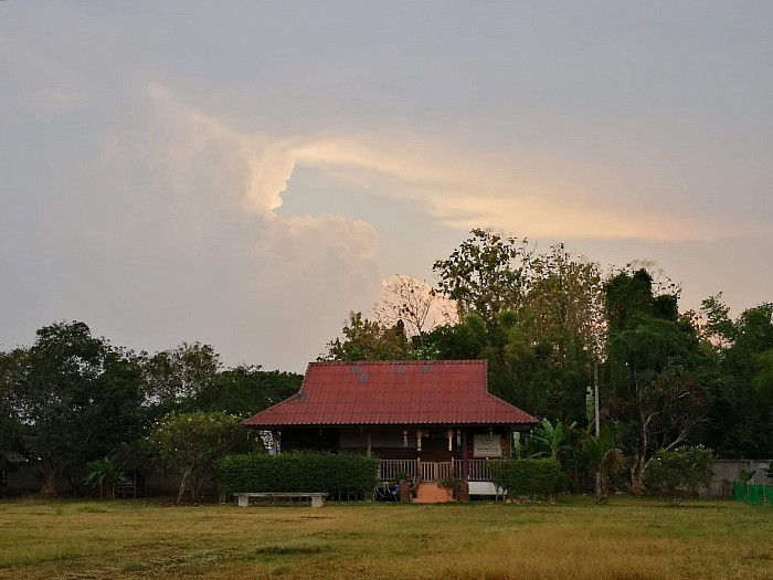 the school is a dedicated house in the middle of our garden