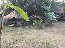 Bamboo tent Under the mango tree